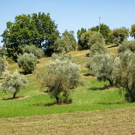 Bed & Breakfast Frami Teramo