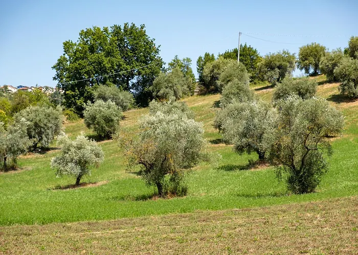 住宿加早餐酒店 Frami 特拉莫